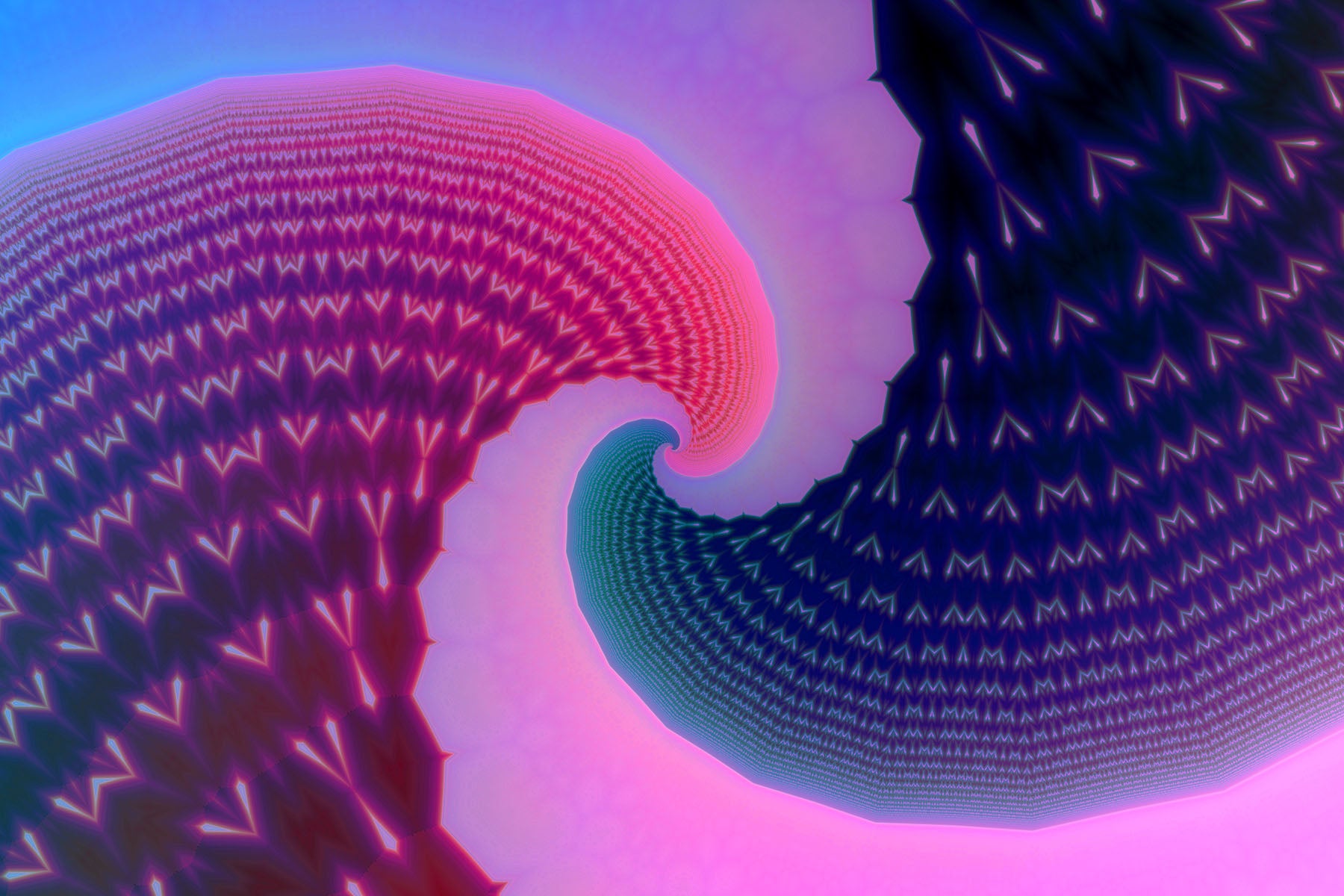 Mitosis